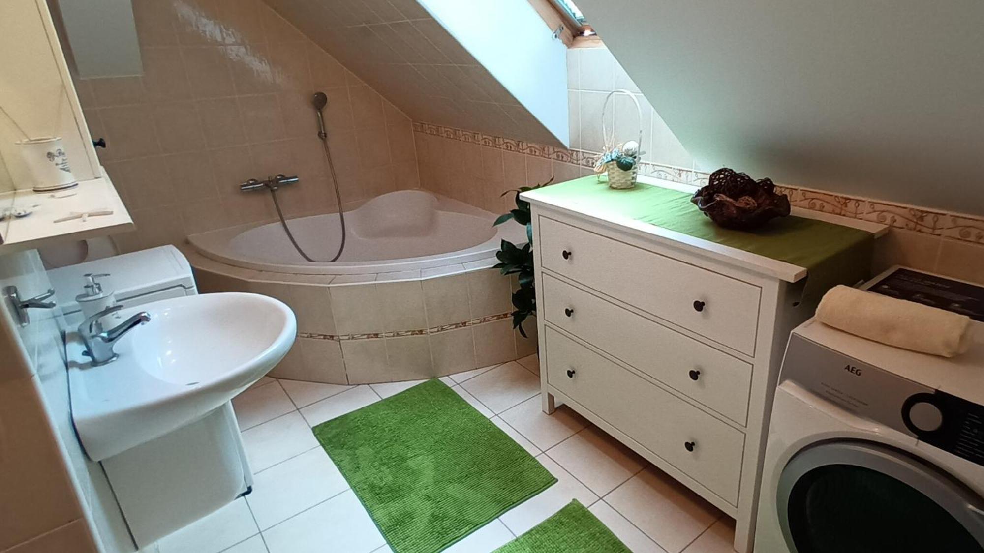 Pod Putimskou Branou Apartment Pisek (South Bohemian)